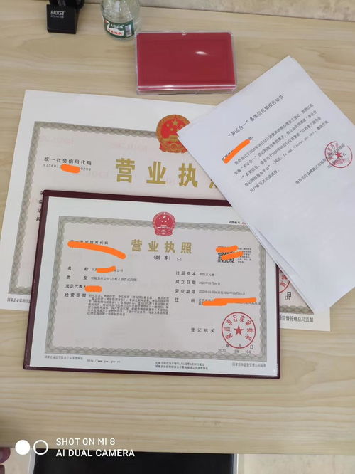南昌紅谷灘代辦公司營業執照,0元工商注冊