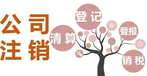 成都網絡文化經營許可證代辦 個體戶注冊辦理