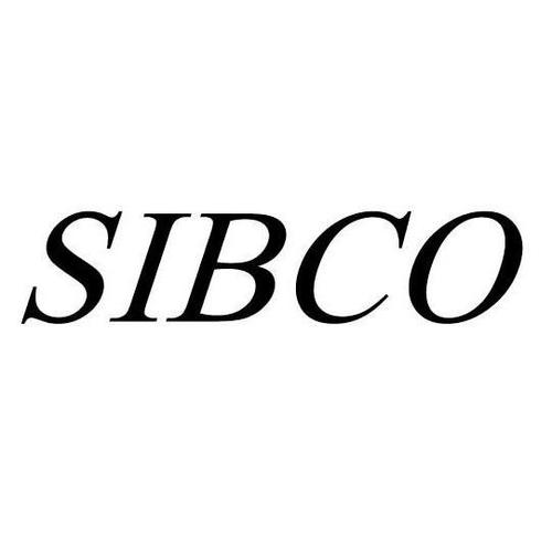 上海國際企業(yè)商務咨詢服務有限公司